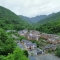 【央媒市媒看城口】《重庆日报》 | 80%是回头客 揭秘城口县厚坪乡的“留客密码”