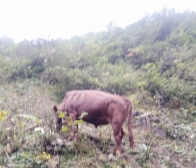 农民的生活，就这么简单，嘿嘿