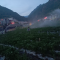 高观：干群齐心 全力以赴护苗保丰收