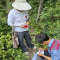 厚坪： 严把药材验收关 筑牢乡村产业增收路