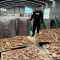 周溪：小香菇就业帮扶车间托起群众家门口“增收饭碗”