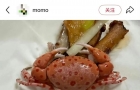 城口人注意！剧毒螃蟹混进海鲜，不认识的食材千万别入口