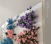 来自铜钱草的帖子