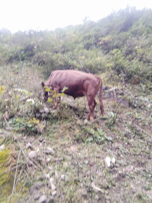 农民的生活，就这么简单，嘿嘿