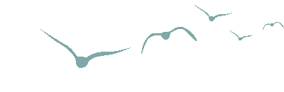 北屏：高速通车焕新机 环境整治靓家园